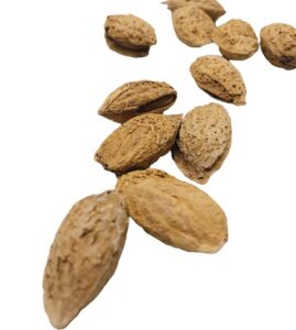 naturseife wiederverkaeufer naturseife kaufen naturseife shop haarseife kaufen kostenlose beratung naturseife vegan zerowaste guenstige naturseife mandeln mandeloelseife