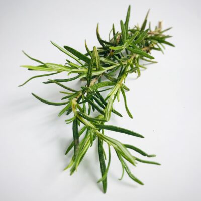 haarseife mit Rosmarin haarwachstum anregen regenerieren haarseife probierset naturseife kaufen