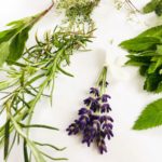 naturseife kaufen mit echten kräutern und natuerlichen bio oelen