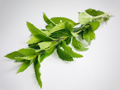 Minze in naturseife kaufen für den Pflegekick natürlich palmoelfrei vegan