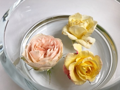 rosenwasser hydrolat tonisierend naturseife kaufen im naturseife shop natürlich naturseife kaufen haarseife DIY