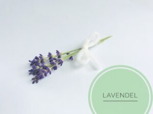 naturseife guenstig kaufen haarseife ausprobieren haarseife shop haarseife tesen biologisch palmoelfrei vegan zerowaste