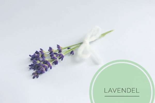 naturseife guenstig kaufen haarseife ausprobieren haarseife shop haarseife tesen biologisch palmoelfrei vegan zerowaste