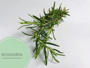 naturseife guenstig kaufen haarseife ausprobieren haarseife shop haarseife tesen biologisch palmoelfrei vegan zerowaste.JPG