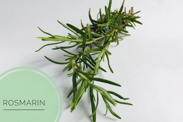 naturseife guenstig kaufen haarseife ausprobieren haarseife shop haarseife tesen biologisch palmoelfrei vegan zerowaste nachhaltig naturseife guenstig kaufen haarseife ausprobieren haarseife shop haarseife tesen biologisch palmoelfrei vegan zerowaste.JPG