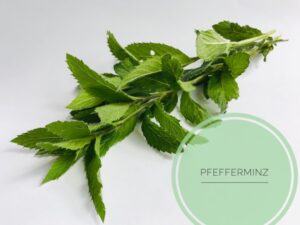 naturseife guenstig kaufen haarseife ausprobieren haarseife shop haarseife tesen biologisch palmoelfrei vegan zerowaste