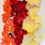 naturseife kaufen naturseife shop tolle haarseife palmoelfrei zerowaste outdoorseife naturseife umweltschutz seife selber machen gute naturseife bio