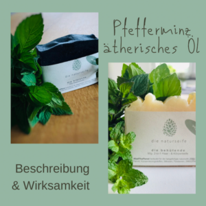 naturseife shop naturseife guenstig kaufen haarseife ausprobieren haarseife kaufen die beste haarseife testen seife selber machen haarseife funktioniert guenstig shop haarseife probierset