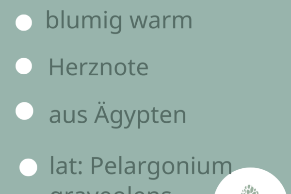 naturseife shop seife selber machen haarseife maennerseife vegan seife seife gegen schuppen