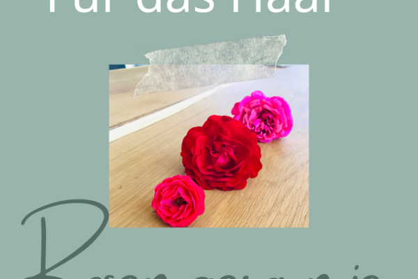 naturseife shop seife selber machen haarseife maennerseife vegan seife seife gegen schuppen