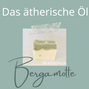 naturseife shop die beste naturseife vegane naturseife seife selber machen wiederverkaeufer werden zerowaste noplastic