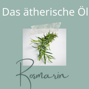 naturseife shop welche ist die beste naturseife seife selber machen haarseife ausprobieren kostenlose beratung